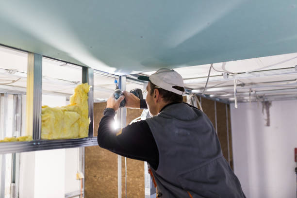 Types of Insulation We Offer in New Port Richey, FL