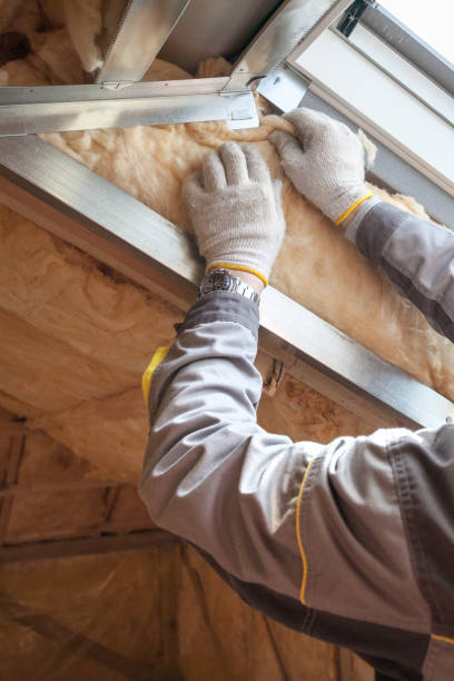 Best Specialized Insulation Services in New Port Richey, FL