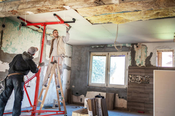 Best Blown-in Insulation in New Port Richey, FL