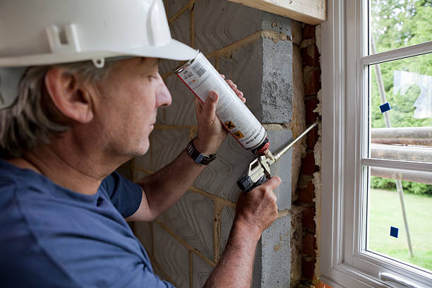 Best Insulation Maintenance and Repair in New Port Richey, FL