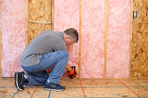 Best Commercial Insulation in New Port Richey, FL