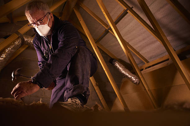 Best Spray Foam Insulation in New Port Richey, FL